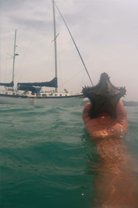 Costa Rica Sailing Charters
